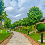 Lavie Solar Gartenleuchte